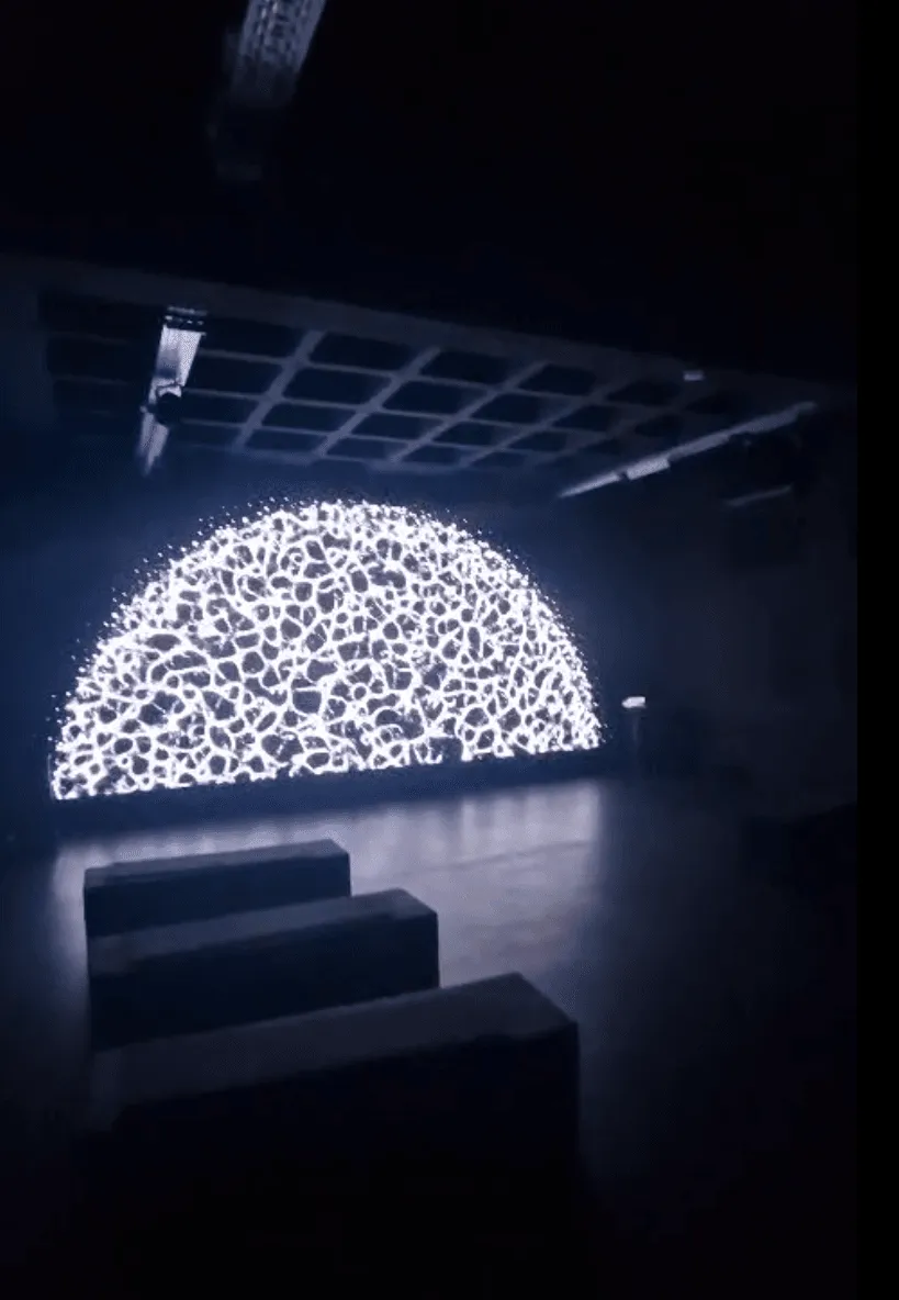 Monochrome Art: the dome